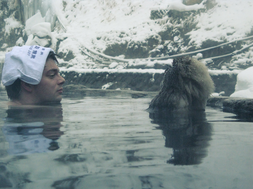 onsen with monkey